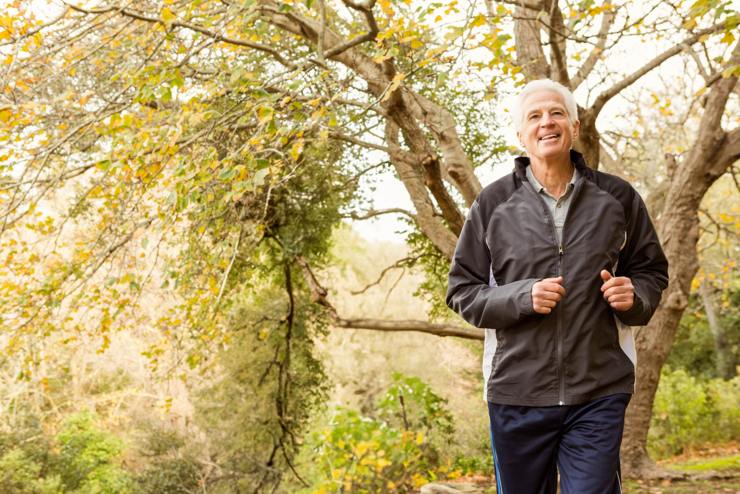 Senior man jogging park trail wearing dark running jacket, track pants, athletic shoes, copy space. Outdoors, fitness, vitality, exercise, nature, wellness, active